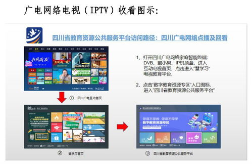 四川省中小学线上学习指导手册（试用版）——基于成都互联网信息服务的实践应用